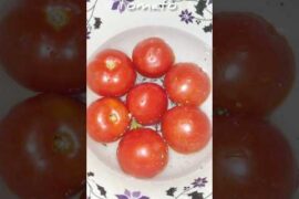 tomato chutney bilkul tasty and healthy recipes | #youtube  shorts #cooking  tomato chutney