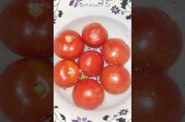 tomato chutney bilkul tasty and healthy recipes | #youtube  shorts #cooking  tomato chutney