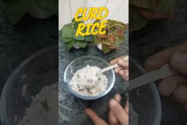 Dahi Chawal For Breakfast | Healthy Breakfast Recipe