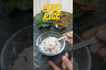 Dahi Chawal For Breakfast | Healthy Breakfast Recipe