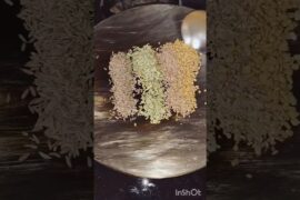 Jeera, Saunf, Fenugreek, and Ajwain Health Benefits #health #food #healthy #dietfood #drrobin