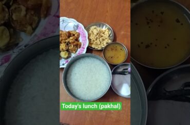 Healthy lunch #food #viral #recipe #lunch #pakhal #odiafood #odisha #chips #villagefood #shorts #yt