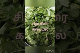 Sirukeerai Kadiyal Recipe | Village Style Keerai Masiyal | Healthy Lunch Recipe