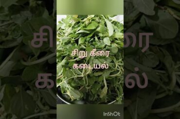 Sirukeerai Kadiyal Recipe | Village Style Keerai Masiyal | Healthy Lunch Recipe