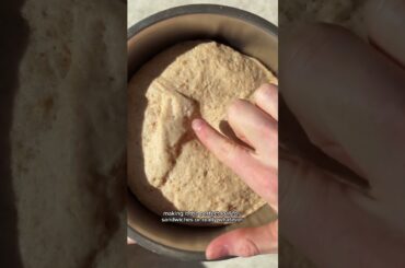 Best Healthy Soft Seedy Sandwich Bread