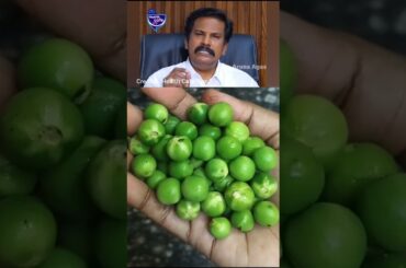 Sundakkai Thuvaiyal #sundakkai #healthyrecipes #health #cook #food #shorts