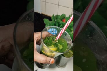 iftar recipe Mint Juice Recipe Healthy to Store for 30 Days Good for Digestion