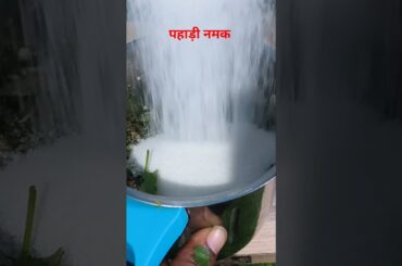 #healthy #ytshorts #healthydiet #recipe #pahadinamak #utrakhandinamak #cooking #healthyfood