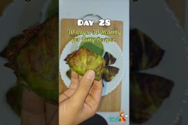 Gobhi se Healthy Snacks Recipe | Day 28 #trendingfood #viral #momos #recipe#food#cabbage #streetfood