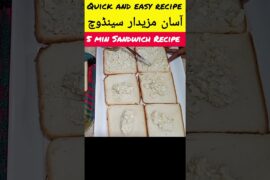 5 Mint Sandwich Recipe | Quick And Easy  Sandwich | Healthy And Testy Sandwich Recipe
