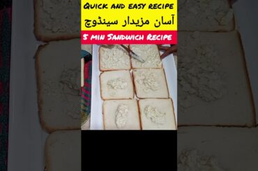 5 Mint Sandwich Recipe | Quick And Easy  Sandwich | Healthy And Testy Sandwich Recipe