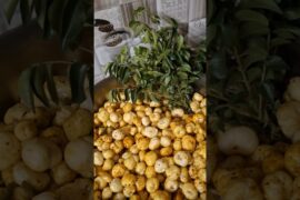 healthy snack#healthy recipes