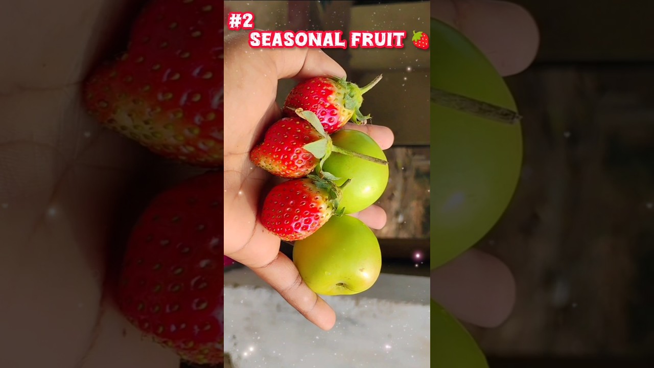 What to Eat When Dieting? 6 Healthy Snack Ideas #Shorts#ytshorts #youtubeshorts What to Eat When Dieting? 6 Healthy Snack Ideas #Shorts#ytshorts #youtubeshorts