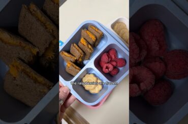 Toddler daycare meal ideas #daycarelunch #toddlerfood #healthy kidssnacks #bentobox #kidslunchbox