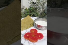 Day 3/7 Healthy Recipe | Moong Dal Ka Chila #shorts #weightloss #ytshorts #asmr #theshubhbites