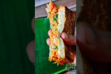 Quick&Easy  Protein sandwich Recipe