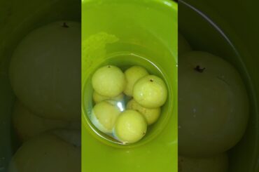 usirikay 3recipes for health