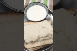 # milk # bread # benefits # fever # good for health?