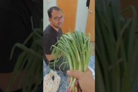 Spring Onion Bara Recipe | Odia Style Piyaja Saga Bara | Crispy & Healthy Evening Snack