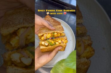 Sandwich diaries page1 #coimbatore #ordinaryygirll #sandwich #paneer #cookingchannel #healthy
