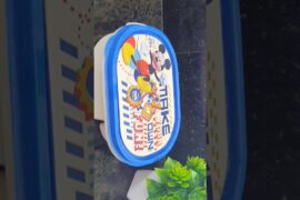 kids snacks box idea #kidssnacksbox #snacksbox #snacks #kidssnacksboxidea #snacksboxidea