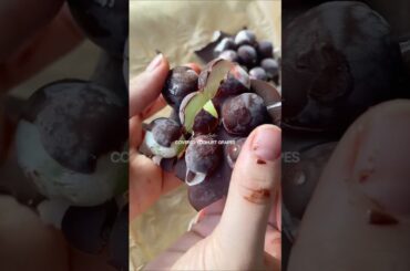 The 10-Minute Viral Snack You’ll Make All Spring & Summer (No Sugar, No Bake Dessert)