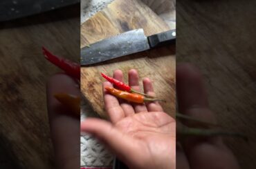 Rajma Salsa Salad Recipe | Healthy Protein Rich Kidney Bean Salad | Weight Loss Salad #ytshorts