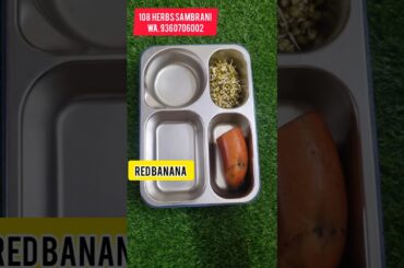 Today’s lunch box recipe: Day 245 #shortsfeed #lunchideas lunchbox #short #shorts #ytshorts  lunch