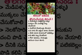 Eating These Foods at Night? Watch This Before Sleeping | Healthy Night Eating Tips