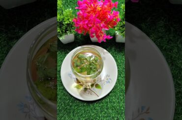 Powerful Drink for Reduce Gas & Bloating By Dr Robin Sharma #recipe #food #healthydrink #ayurveda #l