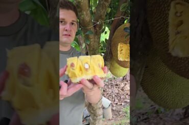 Fresh, organic and healthy food in the province of the Philippines.