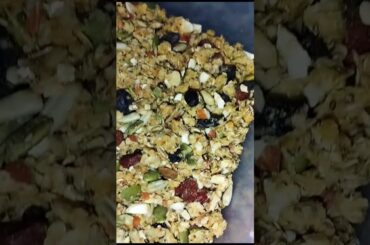 Desi Granola Bars with Gur | Healthy Snack Recipe | No Honey No Peanut Butter #shotrs #viral