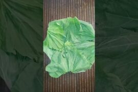 LAU PATA/ LAUKI PAATE KI BHARTA #lauki #health #eat #healthyrecipes #bengali #kolkata #bengalifood