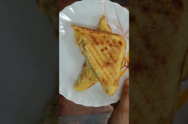 No Bread Healthy protein Rich Sandwich #youtubeshorts #ytshorts