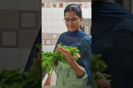 Helathy ah oru breakfast seiyalama nga | ragi adai | ragi rotti | murungai rotti #shorts #breakfast