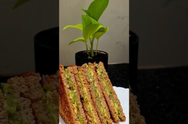 Avocado Sandwich Recipe in 60 Seconds || Healthy Breakfast || Easy Homemade Snack #recipe #shorts
