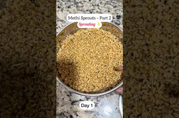 Methi Sprouts| Healthy Fenugreek Sprouting Process | Part 2 #sprouts #methisprouts #youtubeshorts