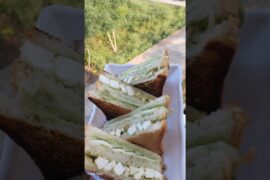 Sandwiches That BUILD MUSCLE?! (EASY & DELICIOUS)