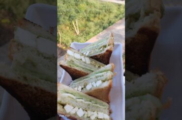 Sandwiches That BUILD MUSCLE?! (EASY & DELICIOUS)