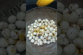 Roasted Makhana#eveningsnack#favourite#healthy#kids#masala#roasted #makhana