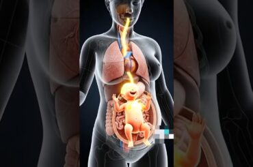 Healthy Pregnancy Snack #pregnancy #pregnancytips #pregnancydiet #shorts #healthypregnancy