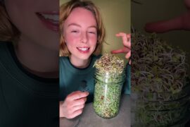 Sprouting a healthy dinner