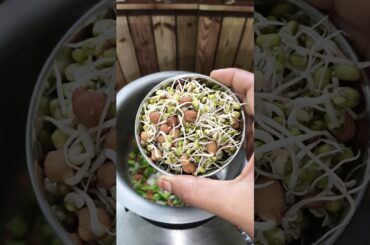 weightloss recipe Sprouts pulao #fatburningsecrets #weightlossdiet #weightlossrecipes#viralshort