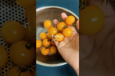 Day 3/5 "Pretty" Healthy Snacks (Savory) #easyrecipe #heathyrecipe # #salad  #pretty #food