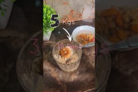 Day 15 Ramadan Fatloss Challenge #ramadandietplan #ramadan #ramadanchallenge