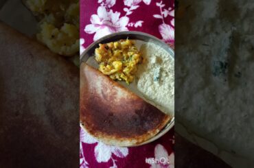 Day 2 Weight Loss Journey | Healthy life Style #viral #recipe #weightloss #youtubeshorts