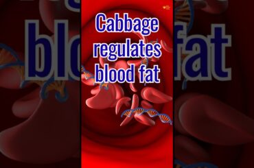 Lower Your Blood Fat Naturally: Delicious Recipes for a Healthy Heart.