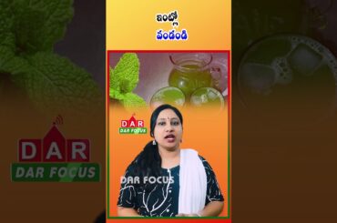 Mint Recipes That Are Delicious and Healthy | Latest updates | DAR FOCUS #darfocus