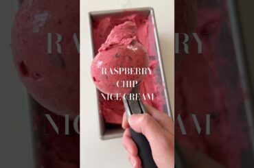 Raspberry Chip Nice Cream