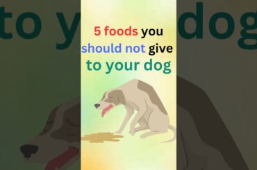 5 foods you should not give to your dog #dogs #dog  #shorts
